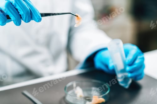 Preview: Food Safety and Quality Control - Testing Sea Fish