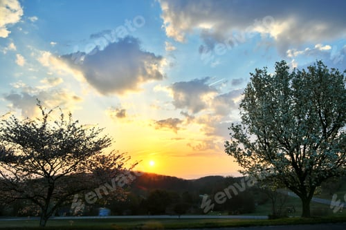 Preview: Vibrant spring sunrise with clouds in the sky and flowering trees in the foreground
