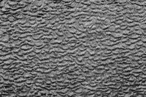 Preview: Abstract Texture Of Dark Gray Color Of Short-Haired Fur Fabric With Wavy Curls For Empty Backgrounds