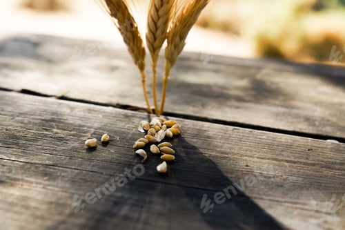 Preview: Closeup shot of ears of wheat illuminated by the sun on a wooden table with grains.