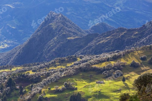 Preview: Green hills in Colombia