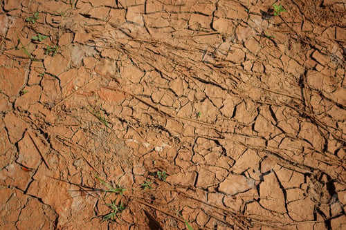 Preview: Dry Cracked Soil Texture Background
