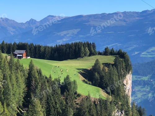 Preview: Farm high in the mountains with cows