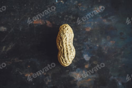 Preview: One fresh peanut in shell on dark backgrond