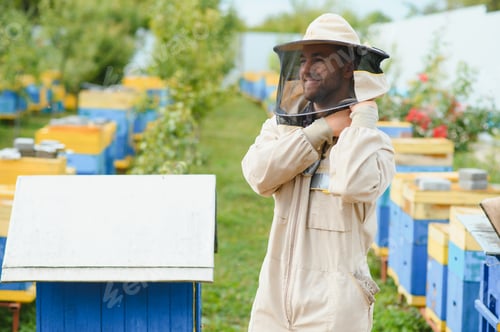 Preview: Beekeeping, beekeeper at work, bees in flight.