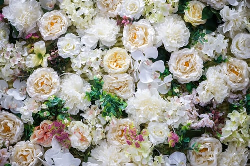 Preview: White flower background ....#NOMINATED!