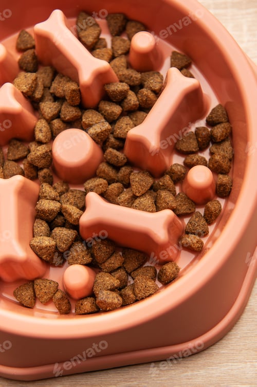 Preview: Dry dog food in a slow feeder bowl preventing gulping