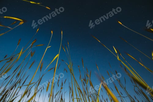Preview: Night Starry Sky With Glowing Stars Above Countryside Landscape. Rural Field Meadow In Summer night
