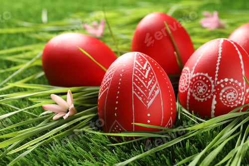 Preview: Red painted Easter eggs on green grass. Space for text