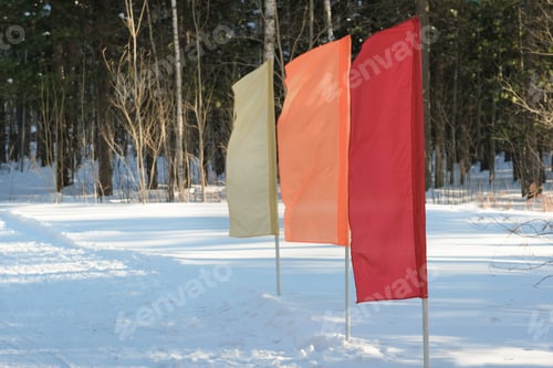 Preview: flags on a start position of ski track in a snow forest. winter sports concept.