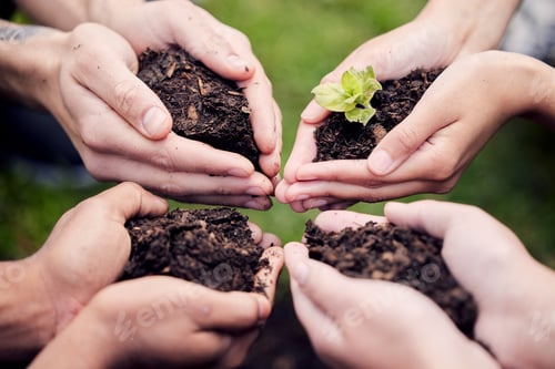 Preview: Shot of a group of unrecognisable people holding plants growing out of soil