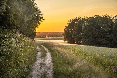Preview: Walking track Bergherbos