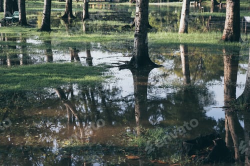 Preview: local site of Thailand, green nature field landscape