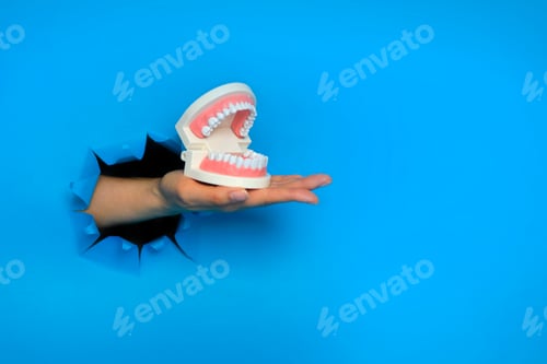 Preview: hand holding jaw teeth model on blue background with shadow. Levitation object in the air. Dental