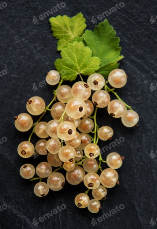 Preview: currants