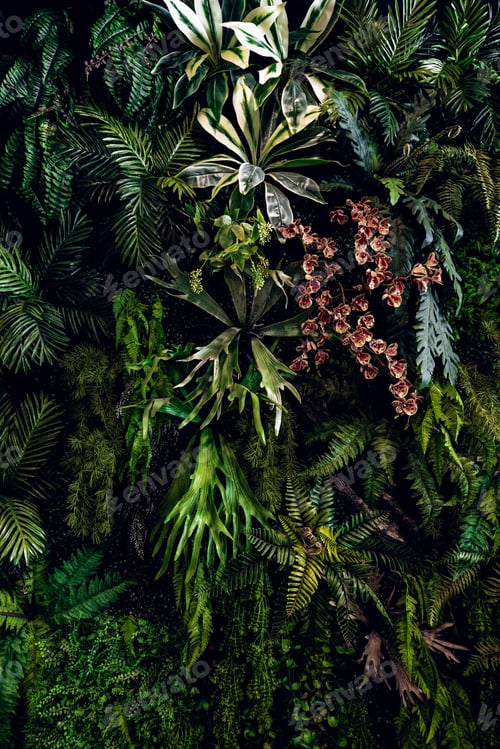 Preview: Herb wall, plant wall, natural green wallpaper and background.