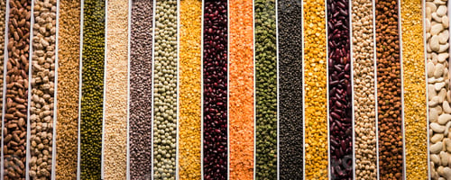 Preview: Pulses & Dals
