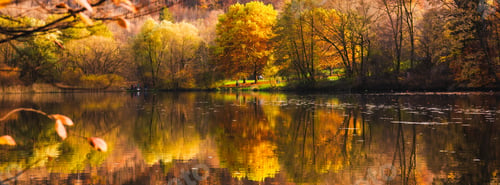 Preview: Thalersee lake at autumn. Forest surrounding the lake in hilly countryside landscape