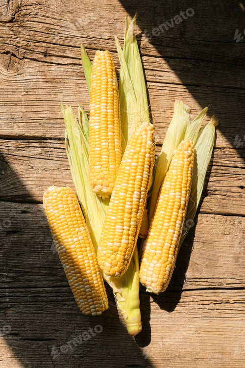 Preview: Corn close up