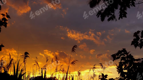 Preview: Sunset or Sunrise