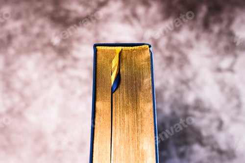 Preview: Golden spine of a blue book about wealth, unfocused background.