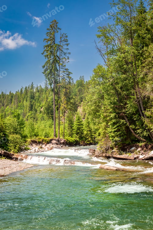 Preview: Stunning wild river in Tatras mountains in summer
