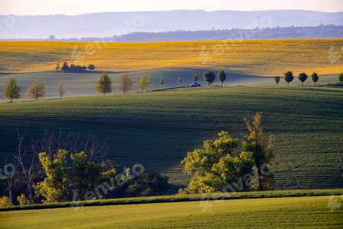 Preview: Gorgeous rural landscape with green sunny spring hills. South Moravia region, Czech Republic