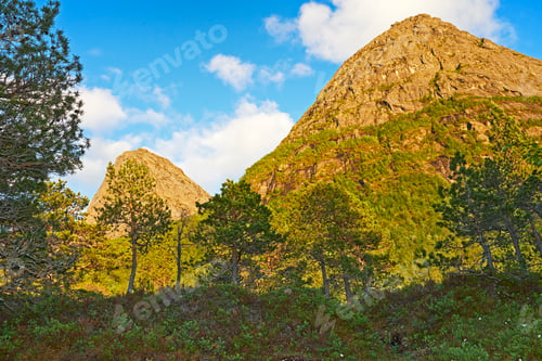 Preview: Norway photos - Nordland