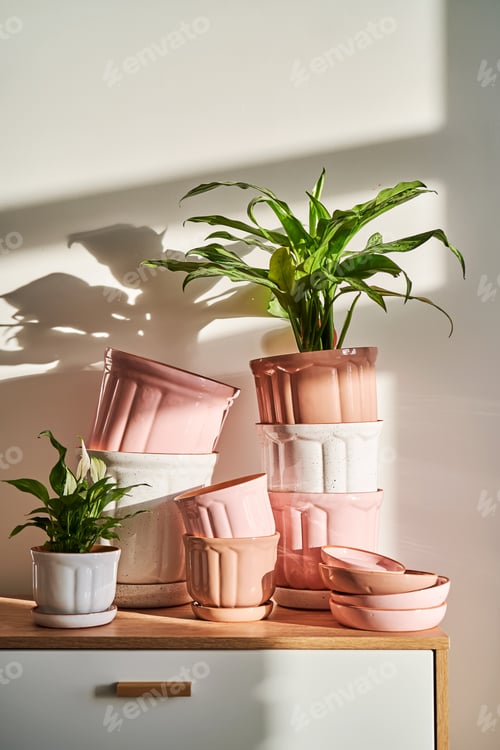 Preview: Lots of planters and flower pots on the dresser.