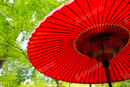 Preview: Japanese red umbrella