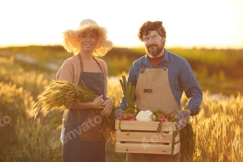 Visualização: Farmers Family in Fields at Sunset