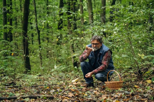 Preview: Mushroom picking. Man is in the forest at daytime
