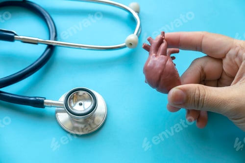 Preview: World Heart Day , world hypertension day, Cardiology concept.