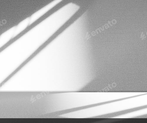 Preview: Wall grey background floor grey shadow leaf