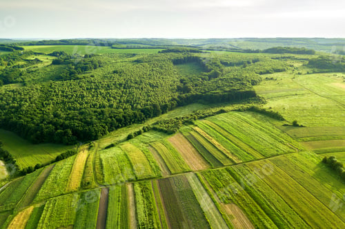 Preview: Aerial view of green agricultural fields in spring with fresh vegetation after seeding season on a