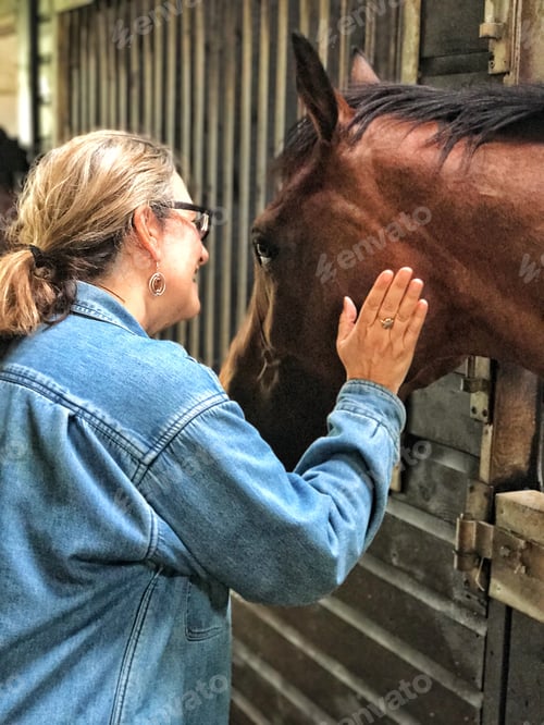 Preview: Middle aged baby boomer woman talking with and stroking a beautiful horse on a ranch