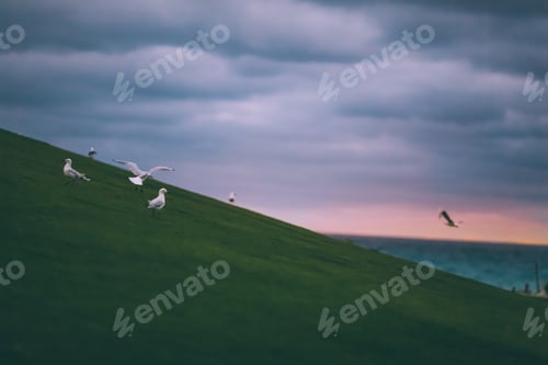 Preview: Moody weather