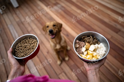 Preview: Over the shoulder view of an owner holding two bowls of dog food for her labrador