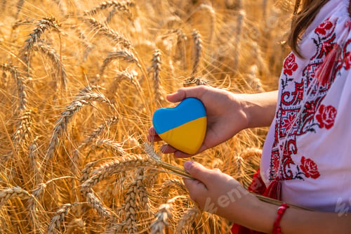 Preview: Child in a field of wheat with the flag of Ukraine. Selective focus.