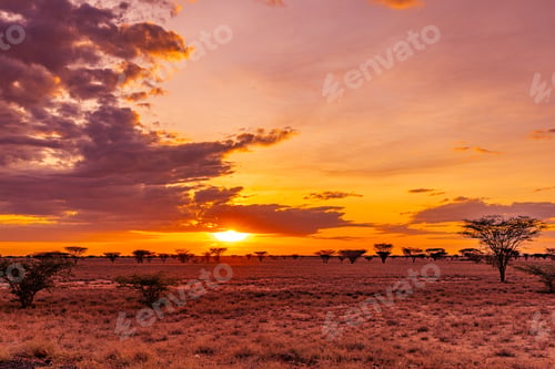 Preview: Kenya East Africa Landscapes Kalokol Lodwar Town Turkana Sunset Sunrise Highway Road Field Travels