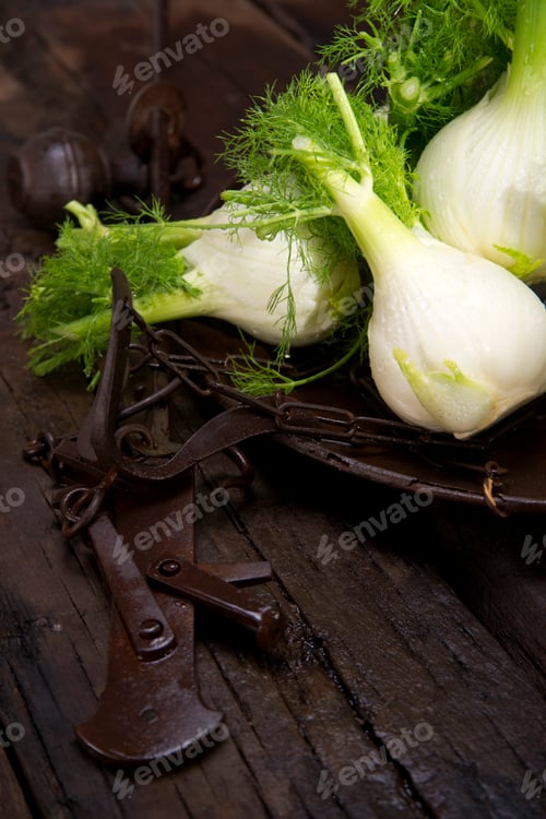 Preview: Fresh Fennel