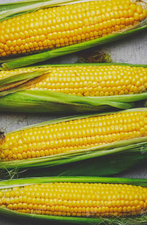 Preview: Fresh corn cobs with leaves on gray linen background, top view