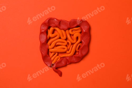 Preview: Concept of health care, stomach and intestinal problems