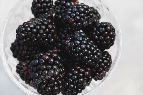 Preview: Fresh blackberries in a patterned glass bowl on gray background