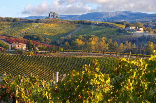 Preview: Chianti classico vineyards in autumn