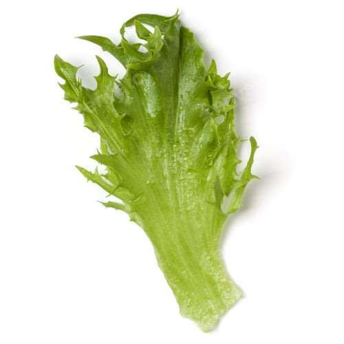 Preview: fresh frillice iceberg leaf salad isolated on white background. Top view, flat lay.