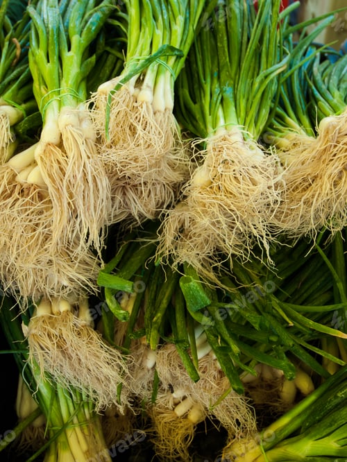 Visualização: Fresh Vegetables