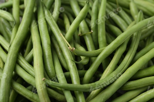 Preview: Fresh green bean pods as background, closeup