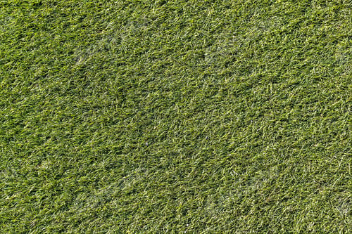 Preview: Background from green spring grass. Texture. Backdrop.