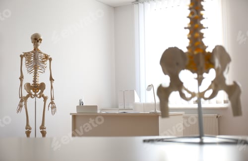 Preview: Human skeleton and spine models in orthopedist's office